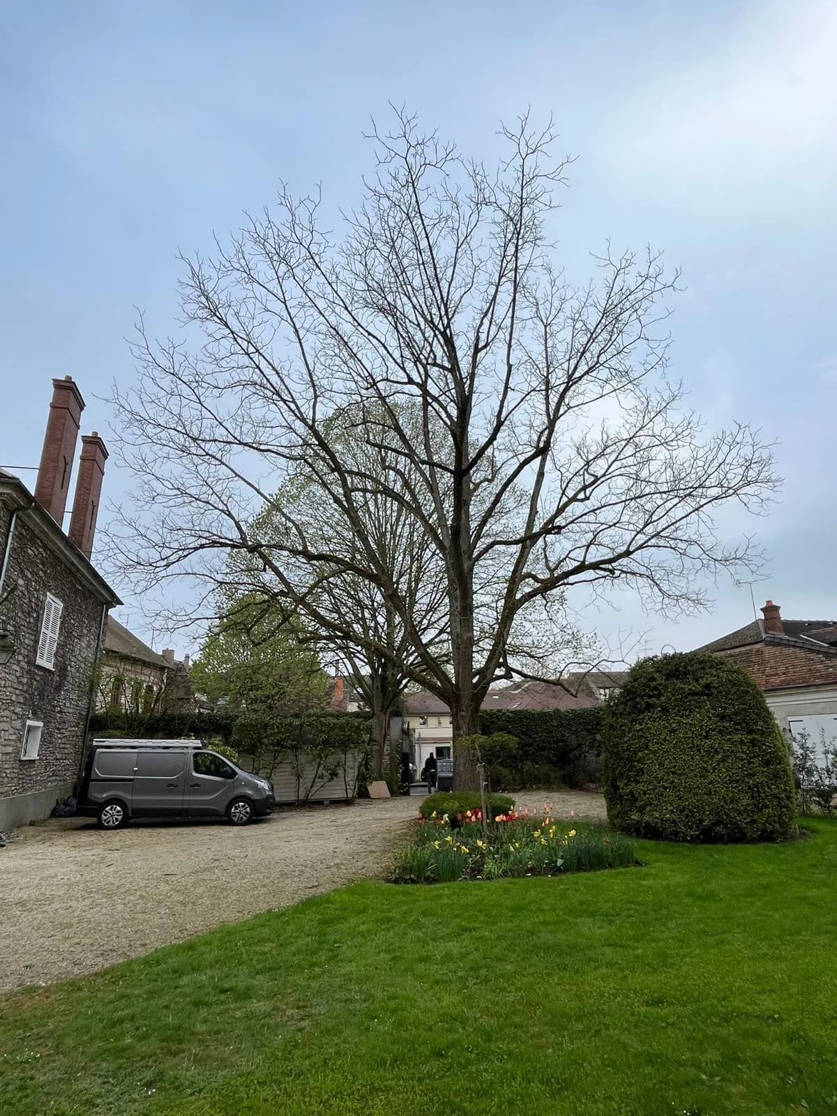 Élagage sécurisé près d'une habitation
